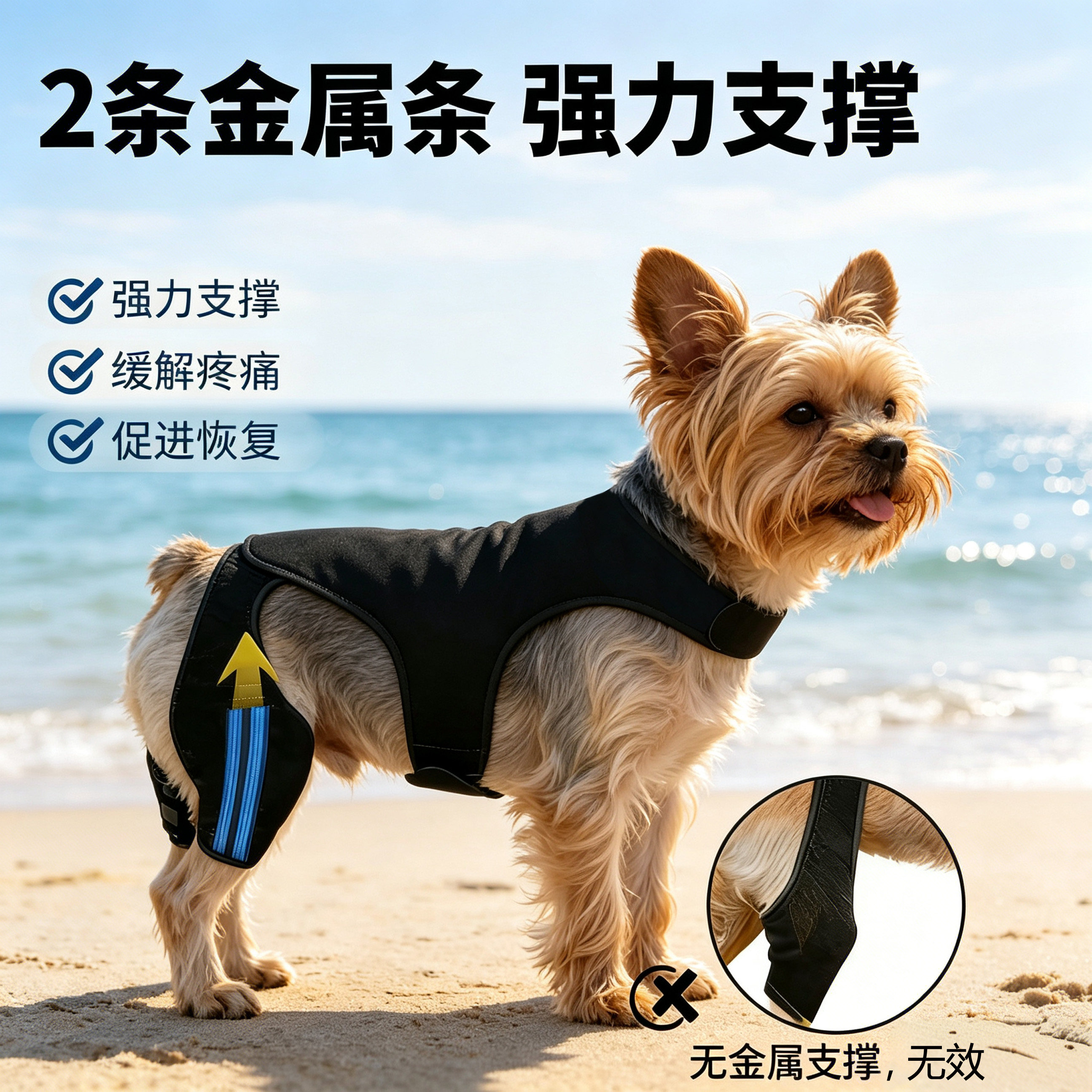 狗狗约克夏护膝ACL韧带骨关节炎