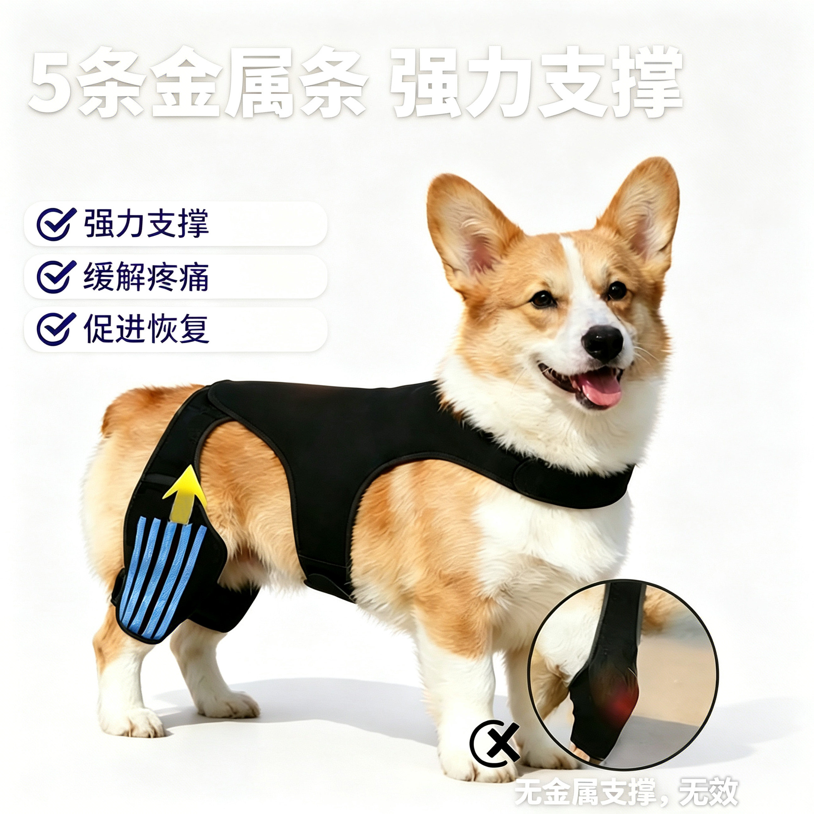 狗狗护膝柯基犬十字韧带术后康复