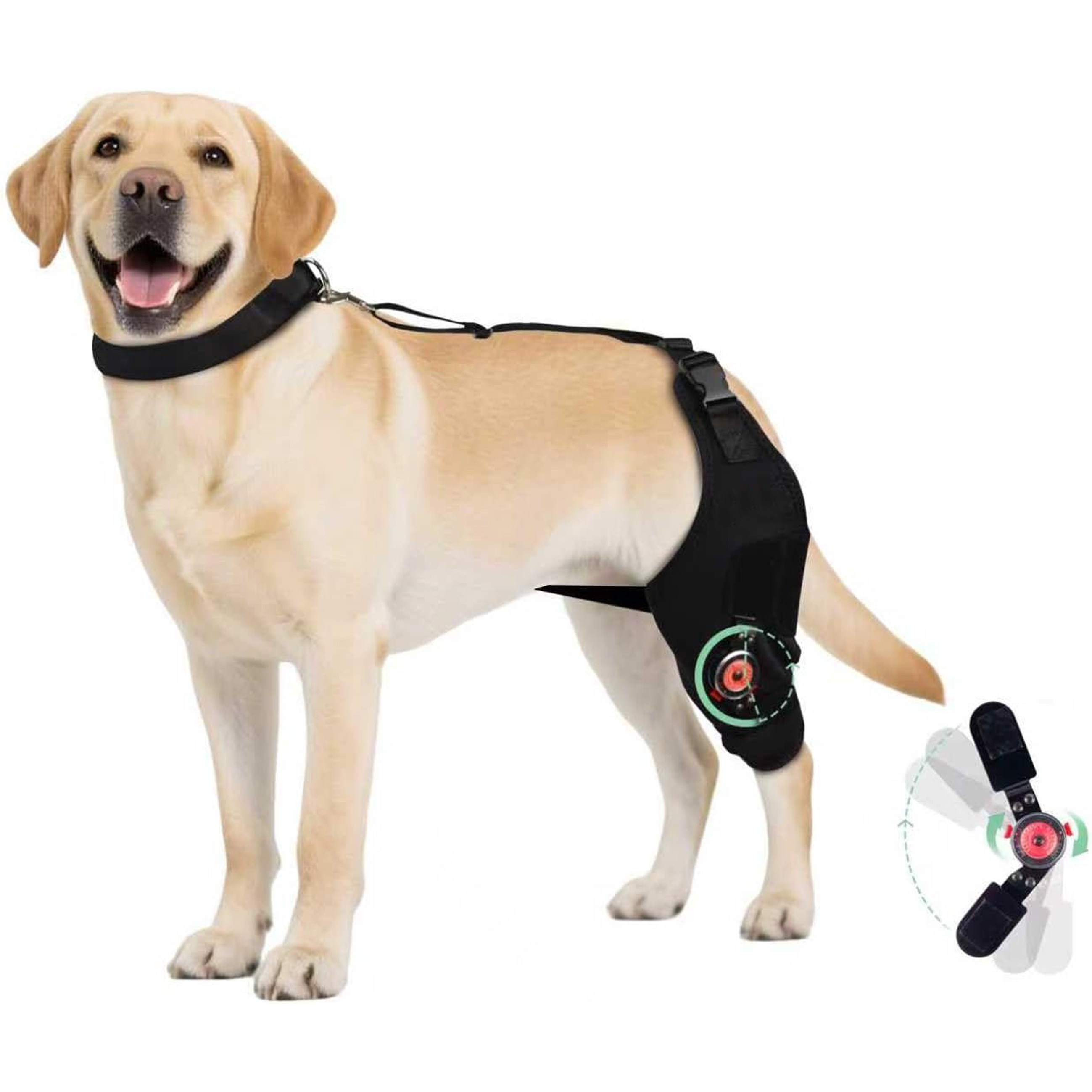 可调节犬用膝盖护具带项圈犬后腿前十字韧带撕裂骨关节炎术后恢复