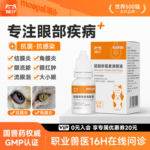 眼部疾病专用药|抗菌消炎滴眼液