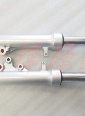 付4S12-25彩/S1避震Q减震丽-B4踏板车一前彩 睿T25前Q 碟刹前叉