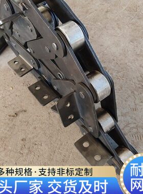 .2A双子1送输L输38链条工业送送20滚大21链条2C节距6C节距链条输