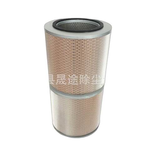 FS20190 WG99255509661 WG9925550966/1柴油滤清器滤芯
