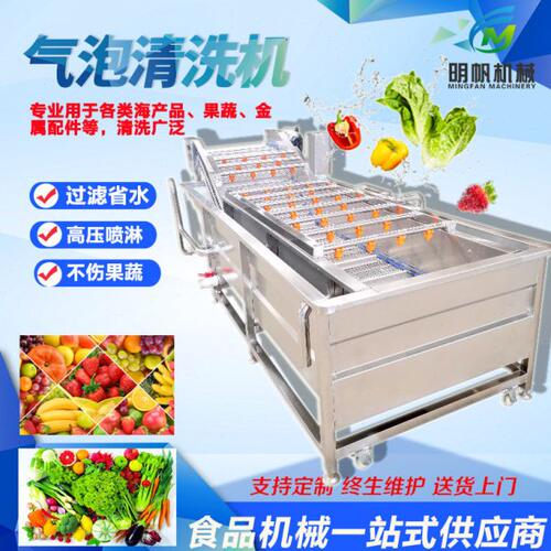 生姜压喷淋清洗设备 洗毛肚气泡翻滚洗菜机 果蔬海鲜气泡清洗机