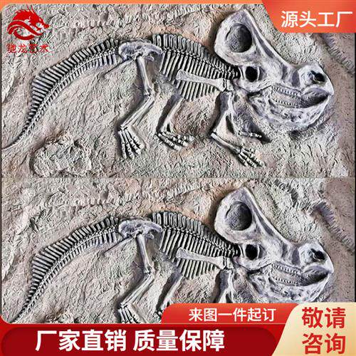 原角翼龙肿头龙迅猛龙化石块儿童沙坑考古发掘仿真恐龙玻璃钢化石