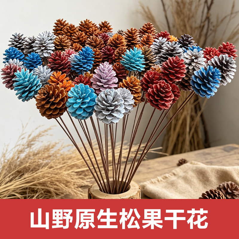 天然带杆松果干花 原生态松塔 手工DIY材料 家居花瓶摆件圣诞装饰