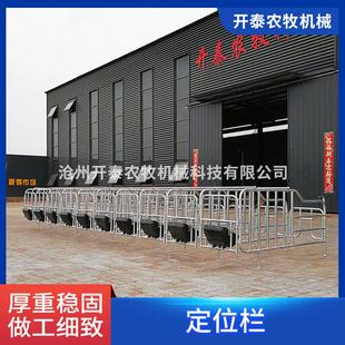 现货落地式猪用定位栏加重欧式限位栏养猪场母猪隔离栏定位栏