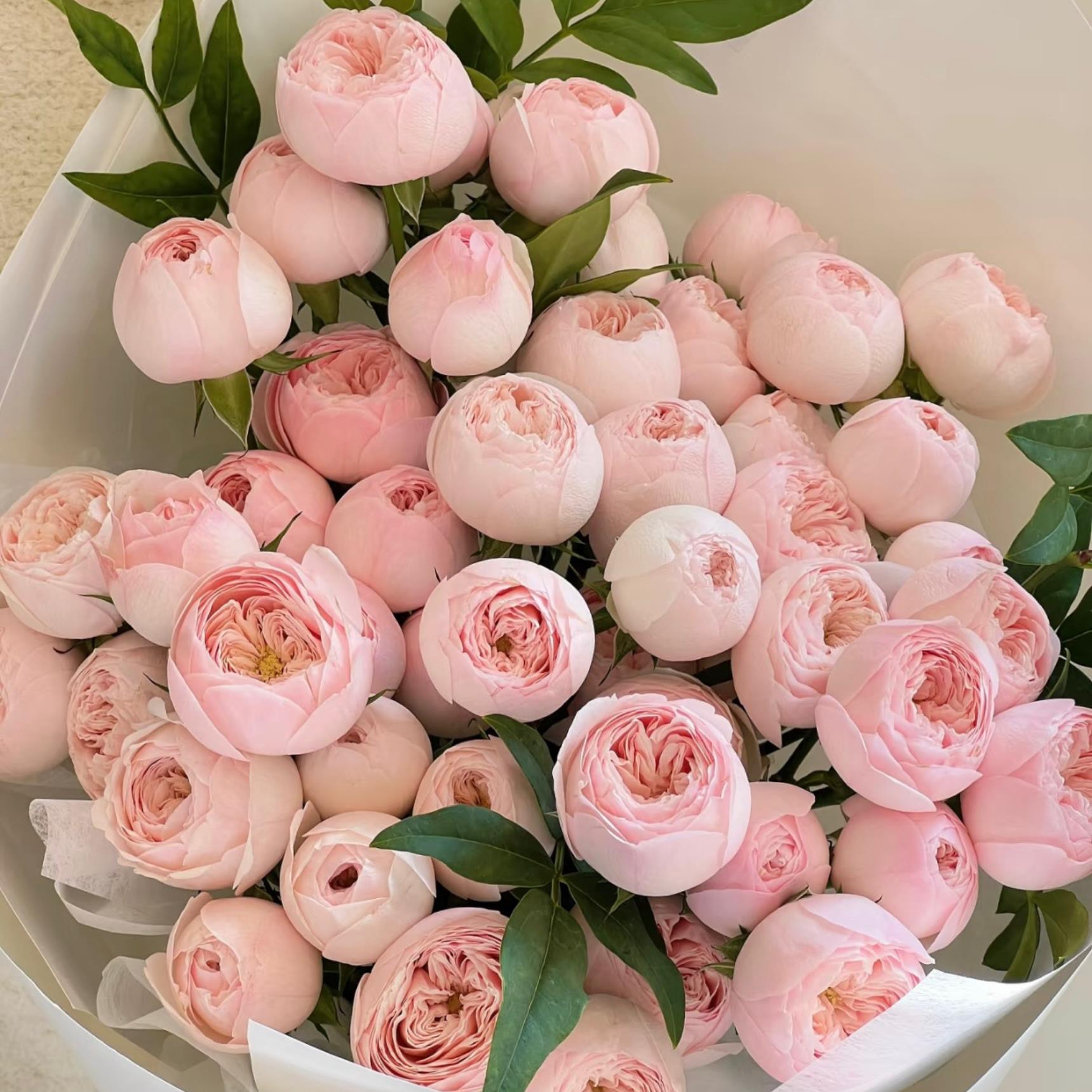 【云花甄选】酷皮粉色多头玫瑰鲜花包花束插花瓶鲜切情人节送女友