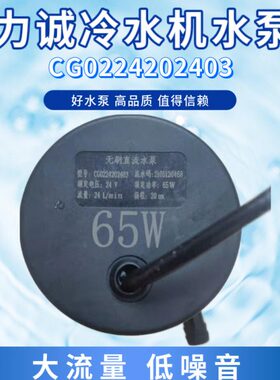 磁力诚无24V扬程米423电024022C0刷DC直流水泵冷水机GW20水泵65
