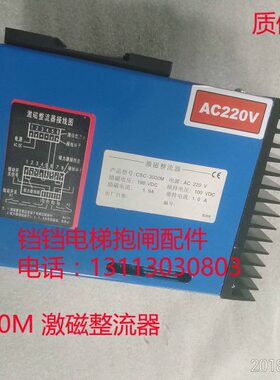 磁激DM300SCC/泰德胜-金主机2400原装全新/C制动器-0整流器SC现货