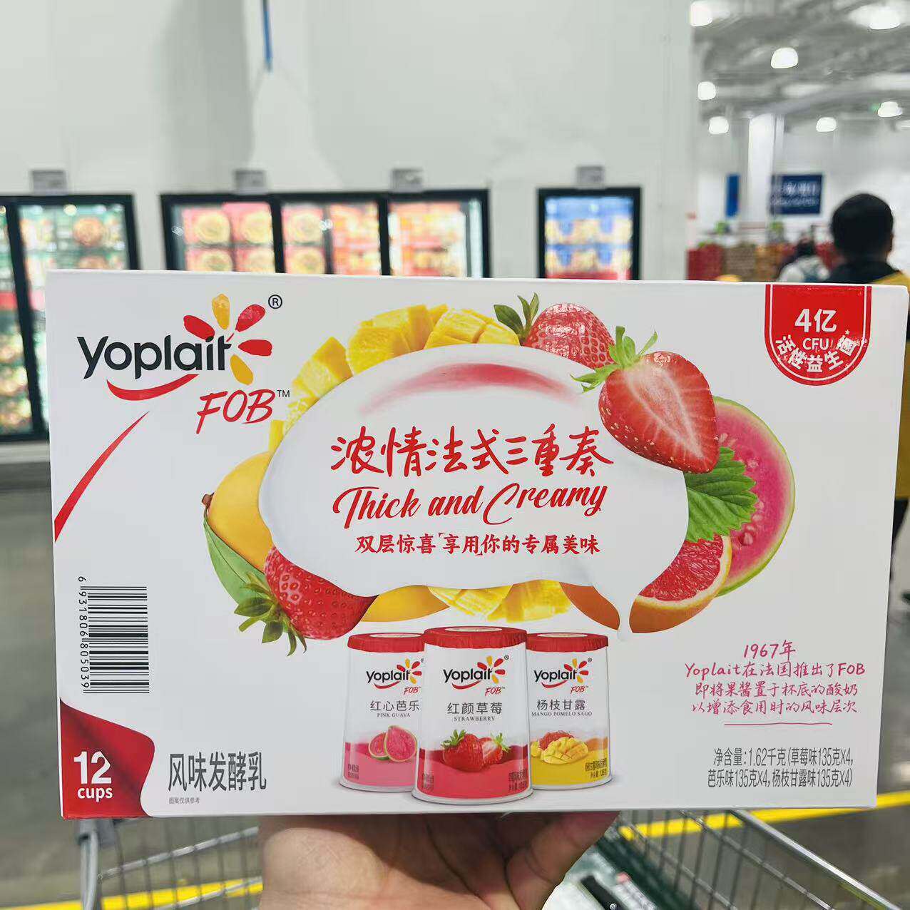 山姆 优诺 浓情法式三重奏风味发酵乳 135g*12杯营养高品质酸奶
