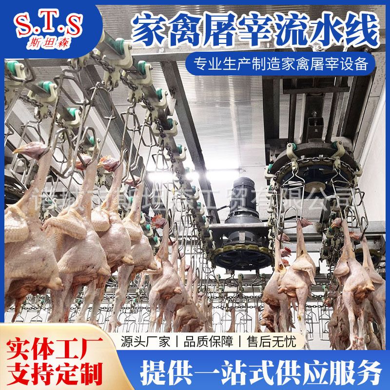H屠宰设备家禽 鸡鸭鹅屠宰流水线樱桃谷鸭自动宰杀线鸭胚生产线