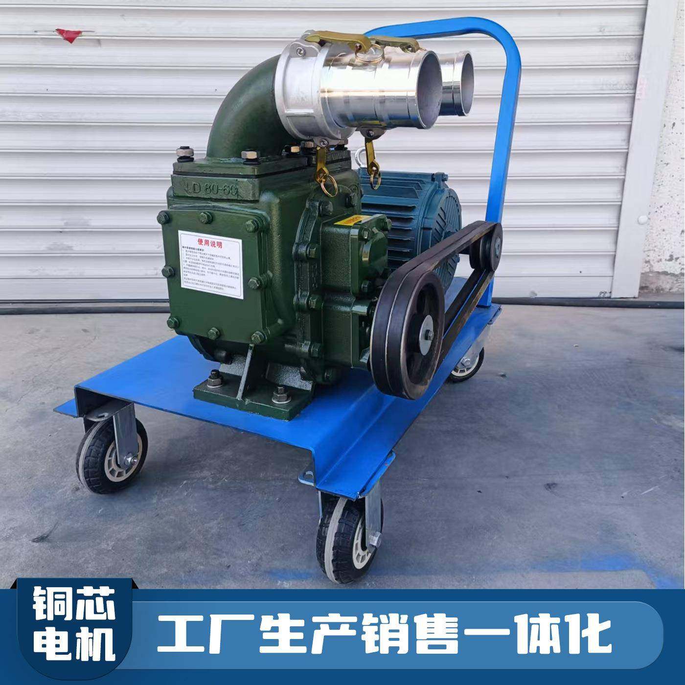 新款双侧清理口抽粪泵 高流量大扬程抽污泵 养殖场猪粪专用吸污泵,五金/工具,水泵,淘宝优惠券,粉丝福利购,淘宝优惠卷