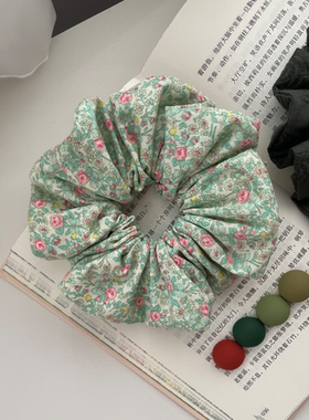 Jinz-韩国进口田园风绿色小玫瑰碎花大肠发圈发绳头饰
