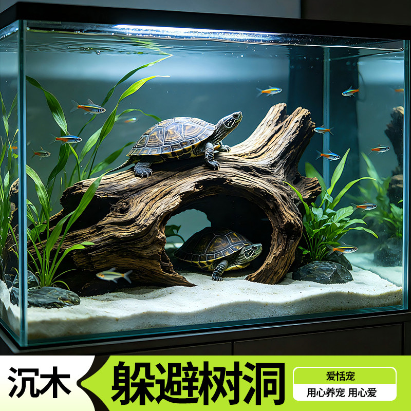 紫柚木树洞沉木寄居蟹鱼虾栖息躲避繁殖罐南美异型灯科鱼造景异形