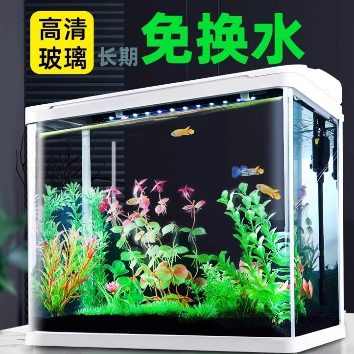 鱼缸小型客厅小鱼缸2024新款玻璃缸生态造景全套斗鱼金鱼桌面家用,宠物/宠物食品及用品,生态瓶/创意缸/微景缸,淘宝优惠券,粉丝福利购,淘宝优惠卷