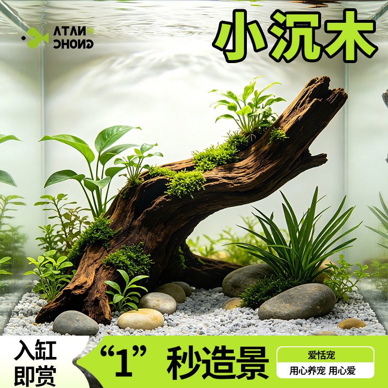 沉木杜鹃根鱼缸造景天然