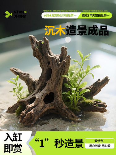 沉木造景成品斗鱼鱼缸造景深色鱼缸造景鱼缸造景套装死木造景装饰