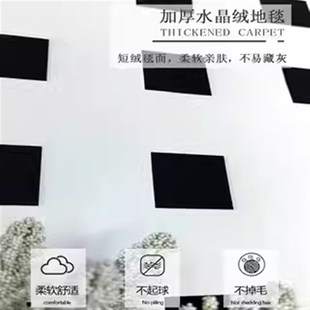 猫咪幼儿园扇形儿童房间地毯读书角爬爬垫阳台休闲区加厚游戏地垫