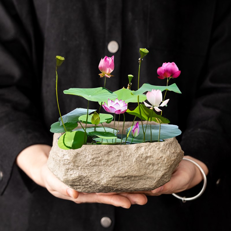 仿石头水培器皿无孔陶瓷花盆水养铜钱草碗莲睡莲盆缸盆栽盆景盆子