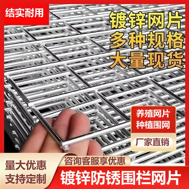 加粗镀锌铁丝焊接网片养鸡狗鸟兔笼鸽舍网格养殖围栏防护隔离网