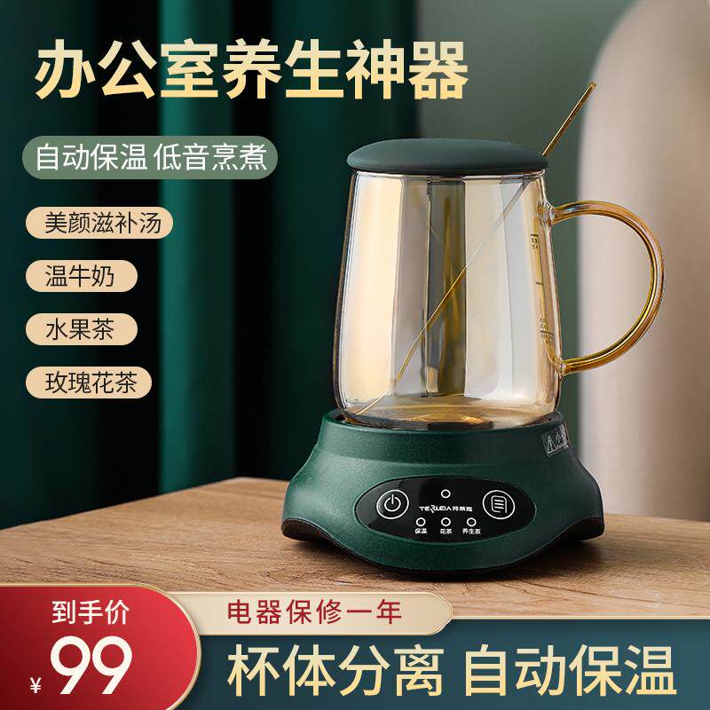 特莱雅养生杯办公室小型煮茶器迷你煮茶壶一用