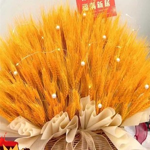 干大麦麦穗插业拍摄道具小麦盆束装 饰篮喜庆挂饰