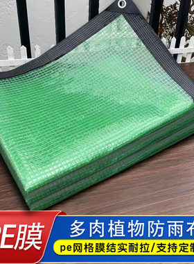 环保防雨布防水布温室房绿卉阳台遮雨保温膜