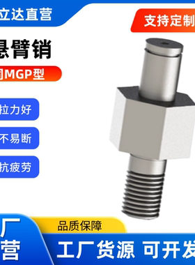 悬臂销MGP01 02 04 06 07 08-6 8 10 12 13 15~30A-Y-F-G张紧轮用