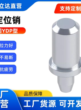 定位销YDP41 42 45 48 51 52 58-D2~20-P~20.00-L-B大/小头锥角型
