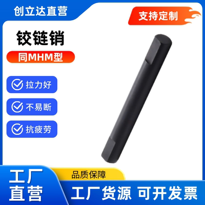 铰链销 MHM01 02/11-D3 4 5 6 8~25-L~220.0-E-F 双面 止动直杆型