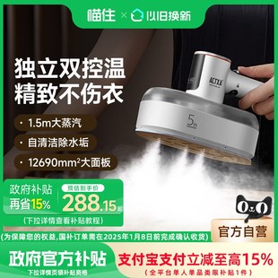 政府补贴 ACTXA阿卡驰双控温挂烫机手持蒸汽家用熨衣服除皱H02