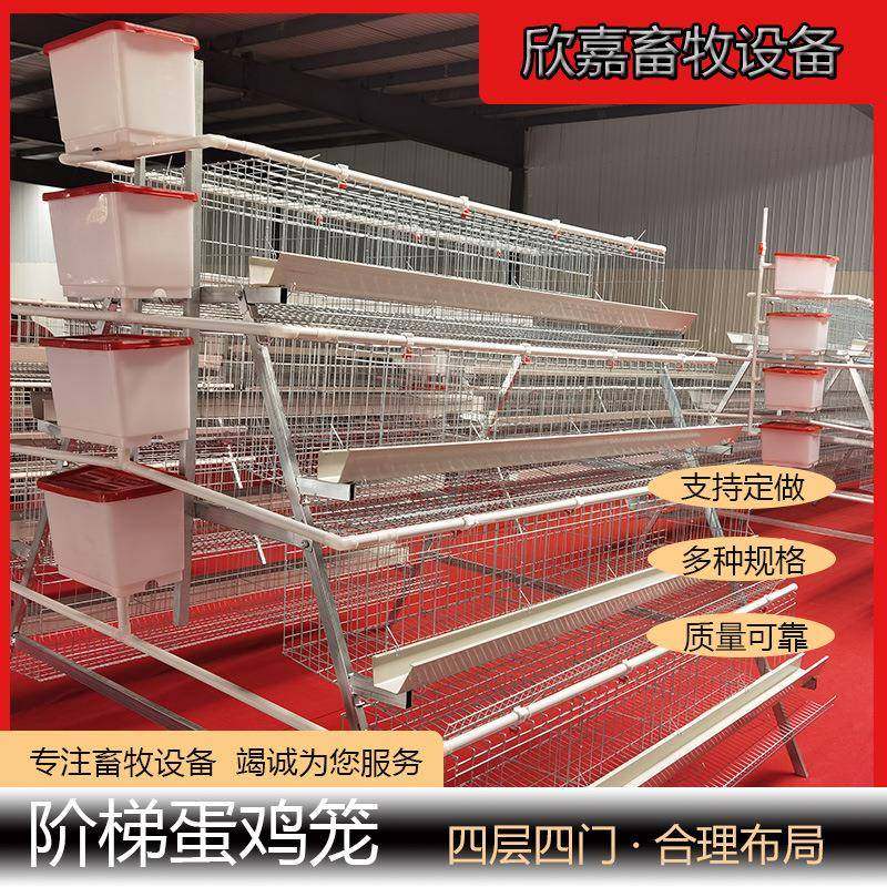 A型阶梯蛋鸡笼冷镀锌热镀锌四层四门大型禽类养殖场家用多层式养,畜牧/养殖物资,特种养殖设备,淘宝优惠券,粉丝福利购,淘宝优惠卷