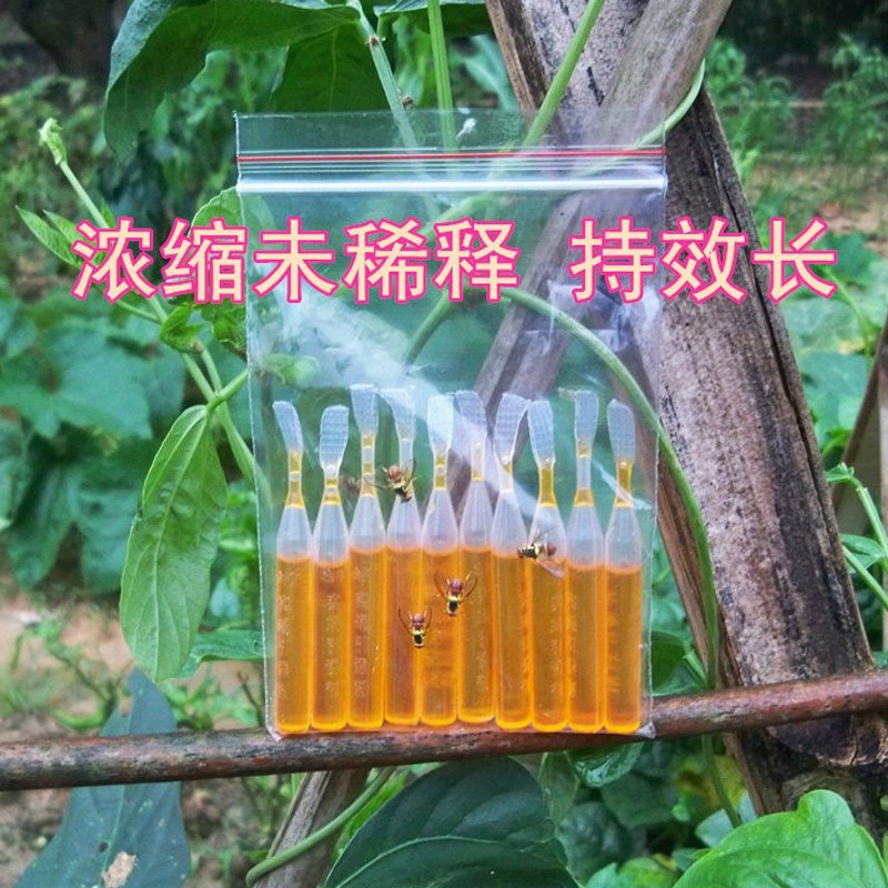 果蝇引诱剂诱捕器瓜果实蝇针蜂 果园菜地果蝇引诱剂内含捕抓器