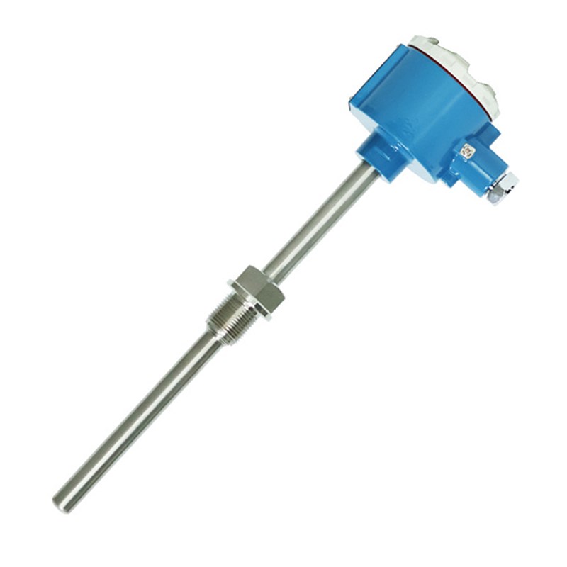 防爆双支热电阻 wzpk2-241 pt100 12 插深200mm ExdIICT6 m27*2