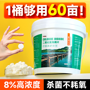 二氧化氯泡腾片水产养殖专用杀菌消毒除藻鱼塘水塘净水灭菌消毒剂
