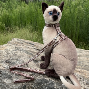 宠物猫牵引绳猫咪专用防挣脱猫绳子外出工字可调节猫用胸抱婴袋遛