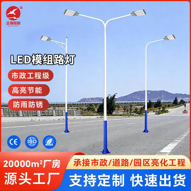 LED市电路灯双臂市政工程路灯4米6米7米9米速公路马路路灯杆