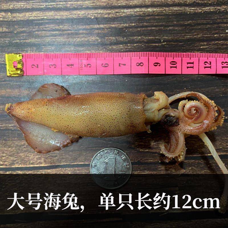 海兔子满籽全籽500g大号籽乌干货新鲜海兔子笔管鱼带籽乌贼干