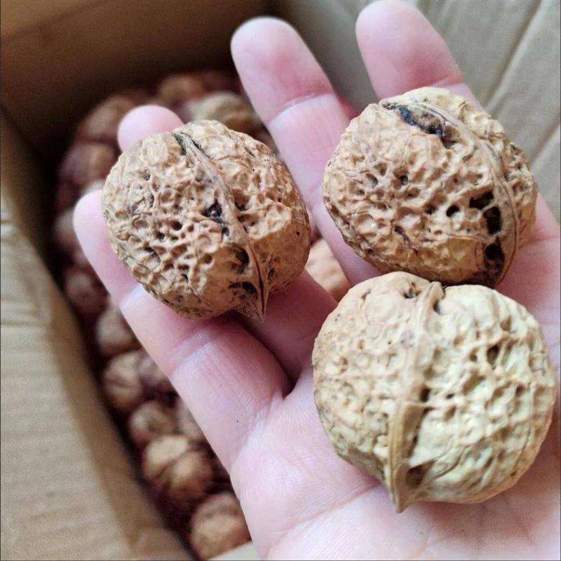 新货云南核桃老树纸壳山核