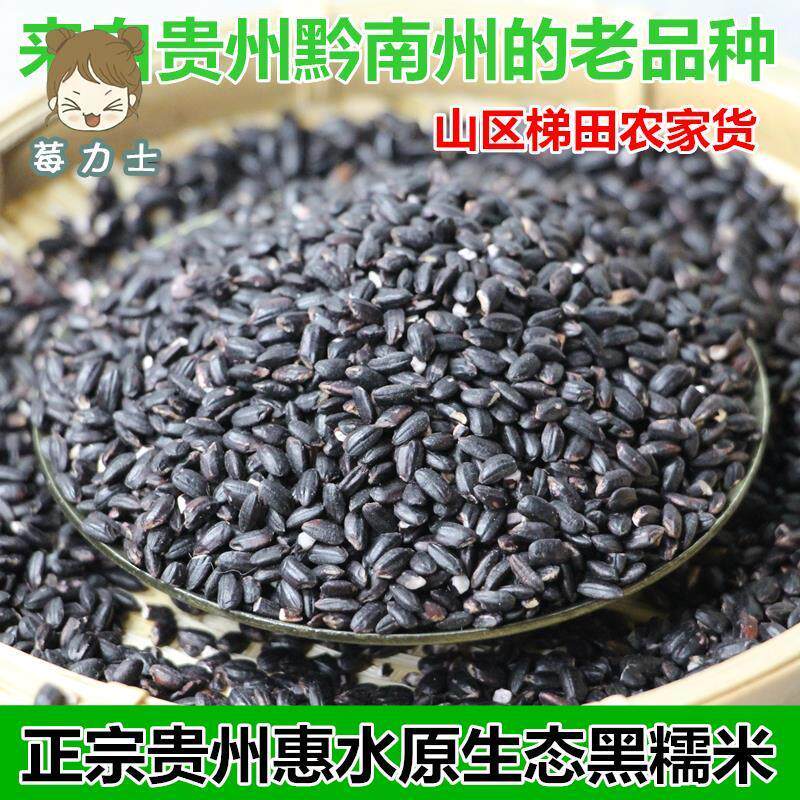 贵州黑糯米糯米正宗高原纯