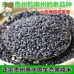 贵州黑糯米糯米正宗高原纯黑农家老品种惠水黑米紫香1kg
