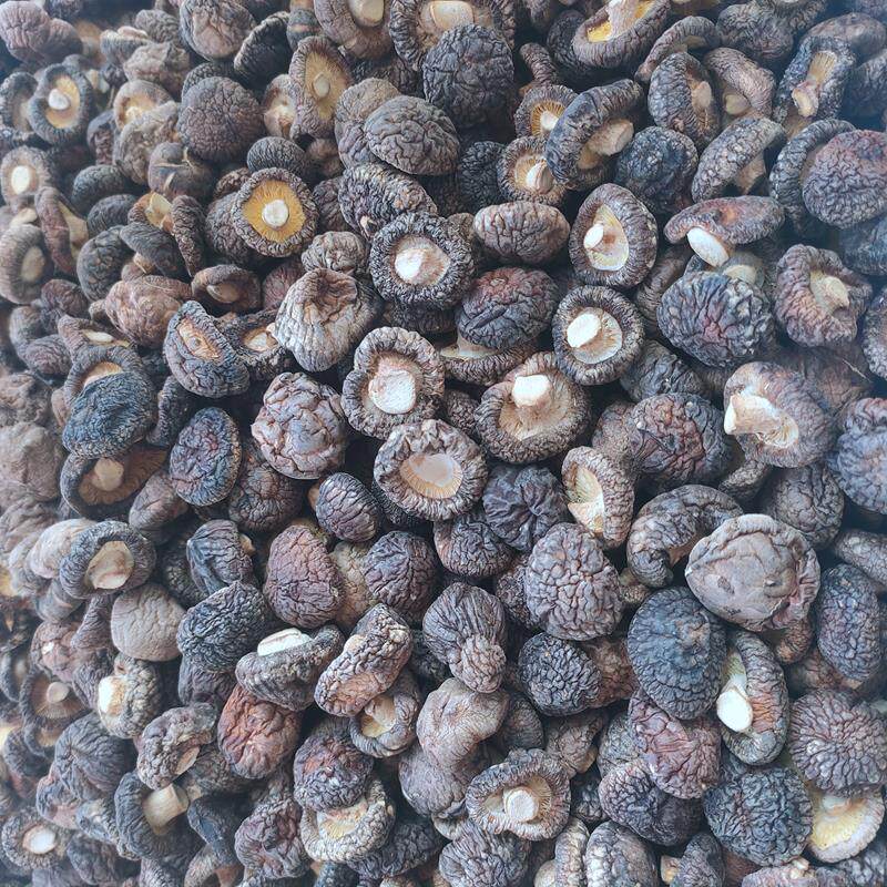 小香菇干货特厚小蘑菇湖北香茹农家黑面菇金钱菇商用冬菇干香姑