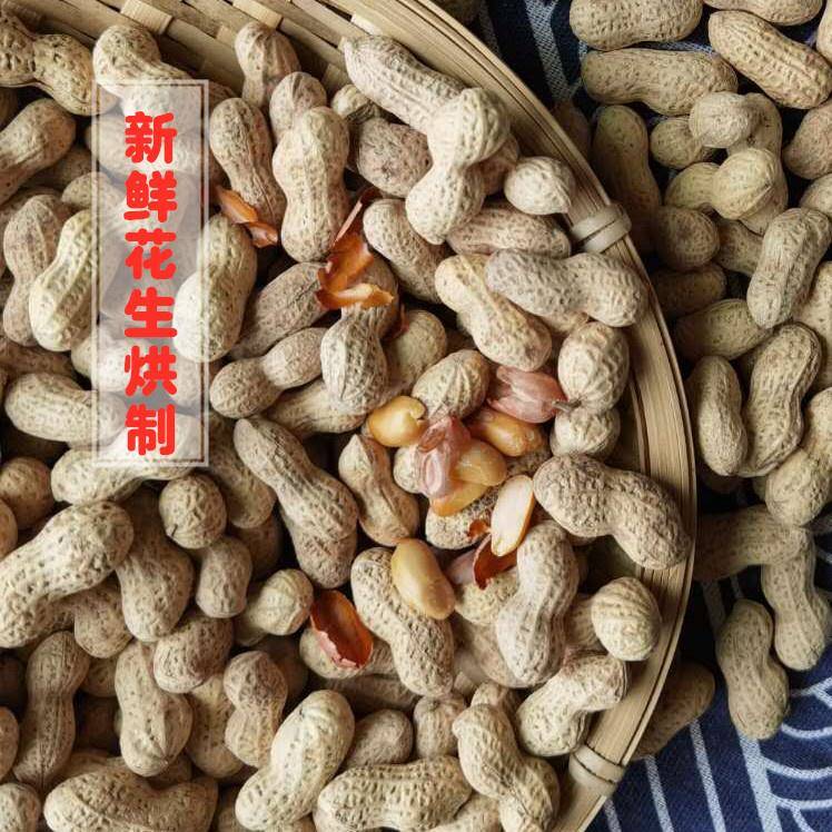 河源龙川特产车田牛利海花生本地小粒咸香花生客家零食蛇头咀新生