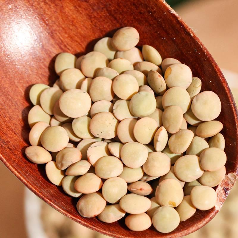 小扁豆500g金豌豆健身主食五谷杂粮甘肃绿扁豆Lentils发豆芽兵豆