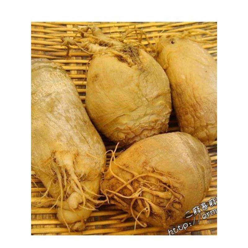 四川原味咸大头菜整个丝颗