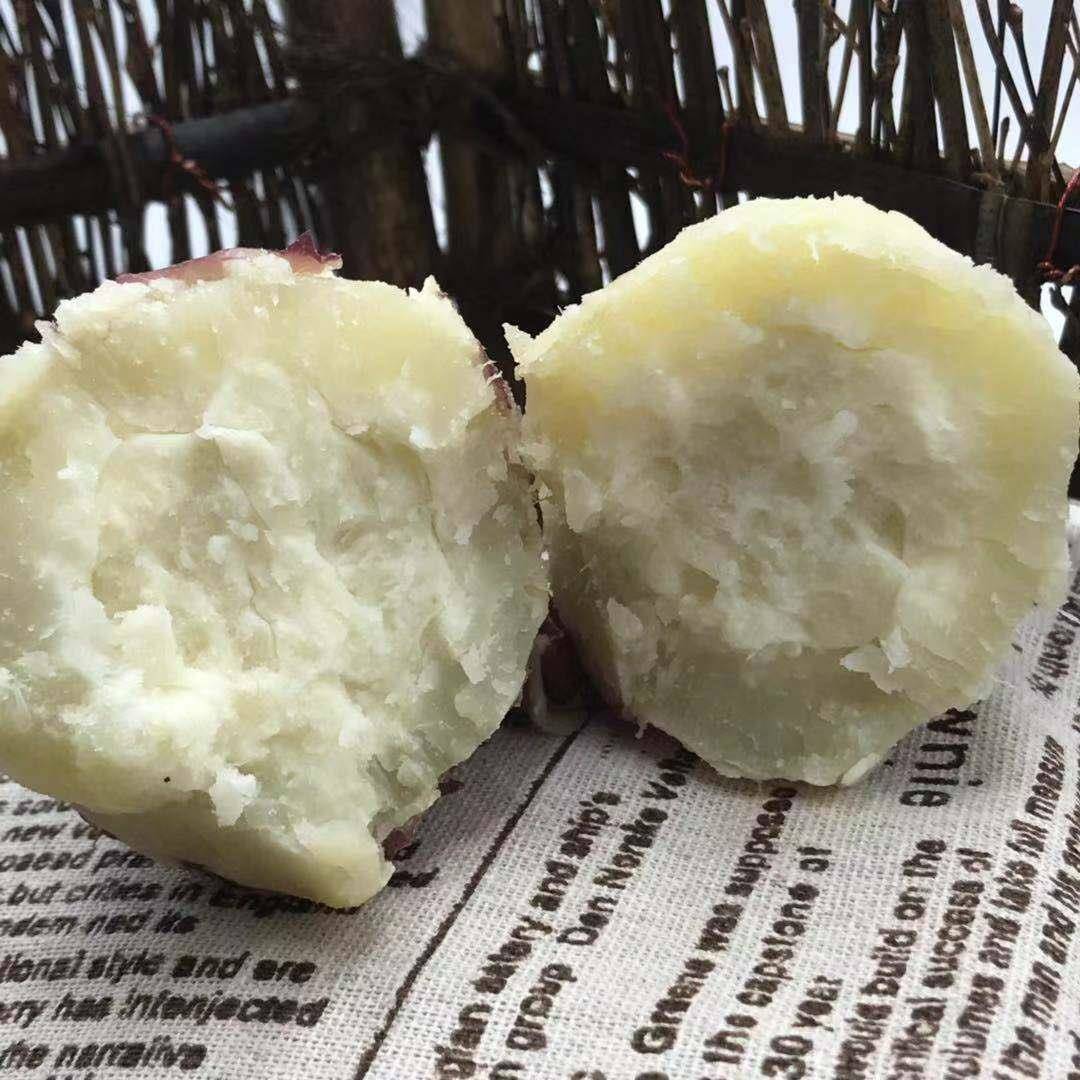 重庆红皮白心红薯老品种新鲜现挖板栗薯农家四川山芋番薯香甜地瓜