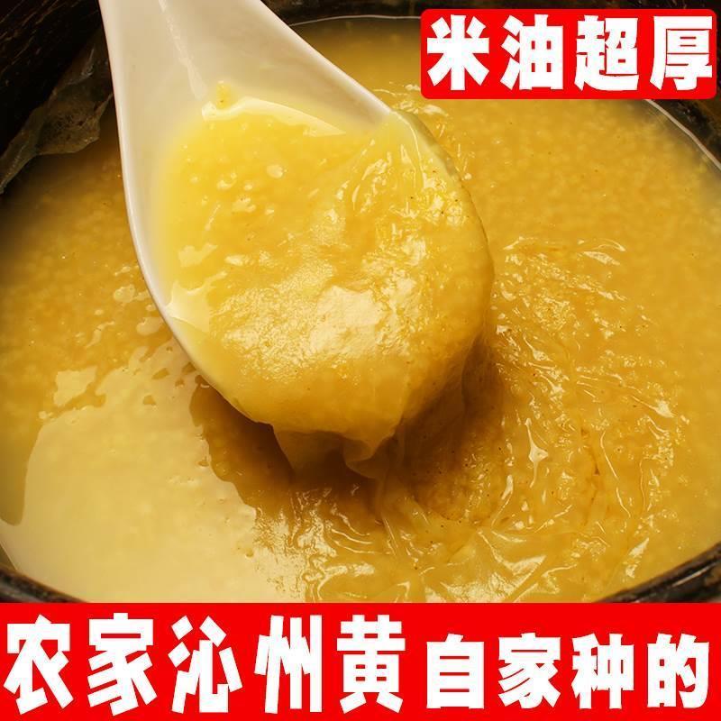 官方旗舰店山西小米黄小米杂粮沁州黄小米粥小黄米新米糯小