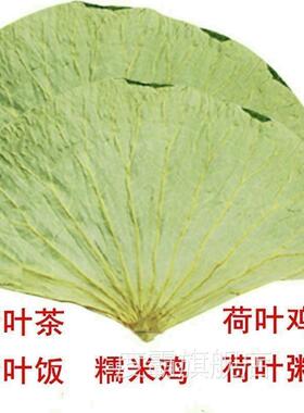 整张荷叶大张荷叶片干荷叶糯米鸡荷叶鸡荷叶饭荷叶粥