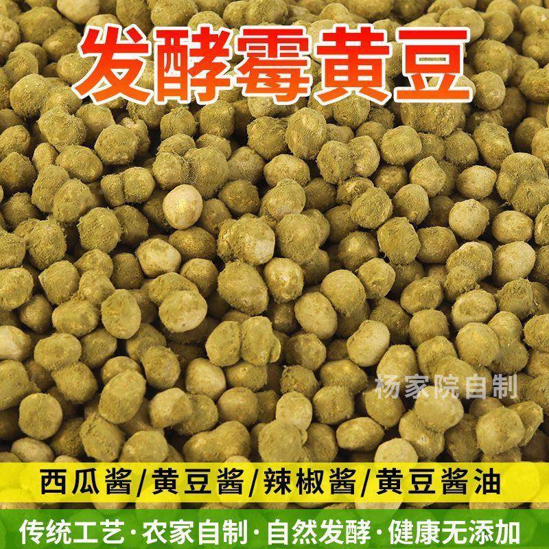 农家新货自然发酵霉黄豆捂黄豆可做西瓜酱辣椒酱豆瓣酱黄豆鼓酱油